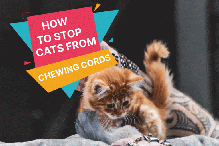 How To Stop Cats From Chewing Cords
