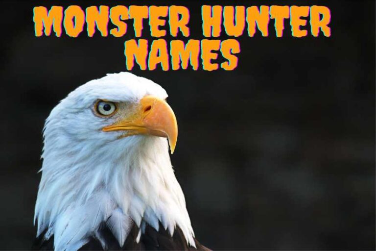 Monster Hunter Names